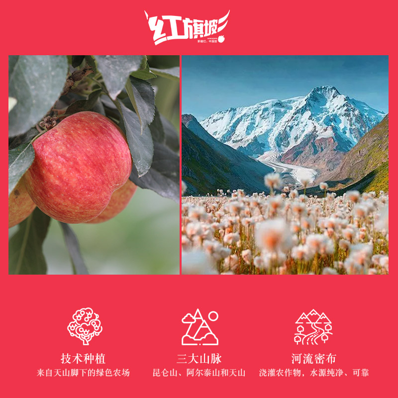 红旗坡苹果主图22.jpg